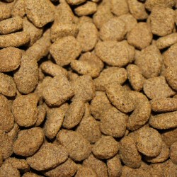 Dog Food