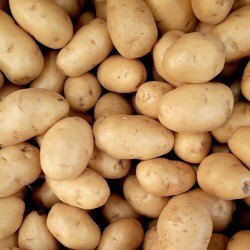Potatoes